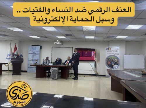 العنف الرقمي ضد النساء والفتيات وسبل الحماية الإلكترونية