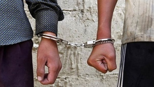 القبض على عصابة لتهريب جلود الأغنام في كوردستان
